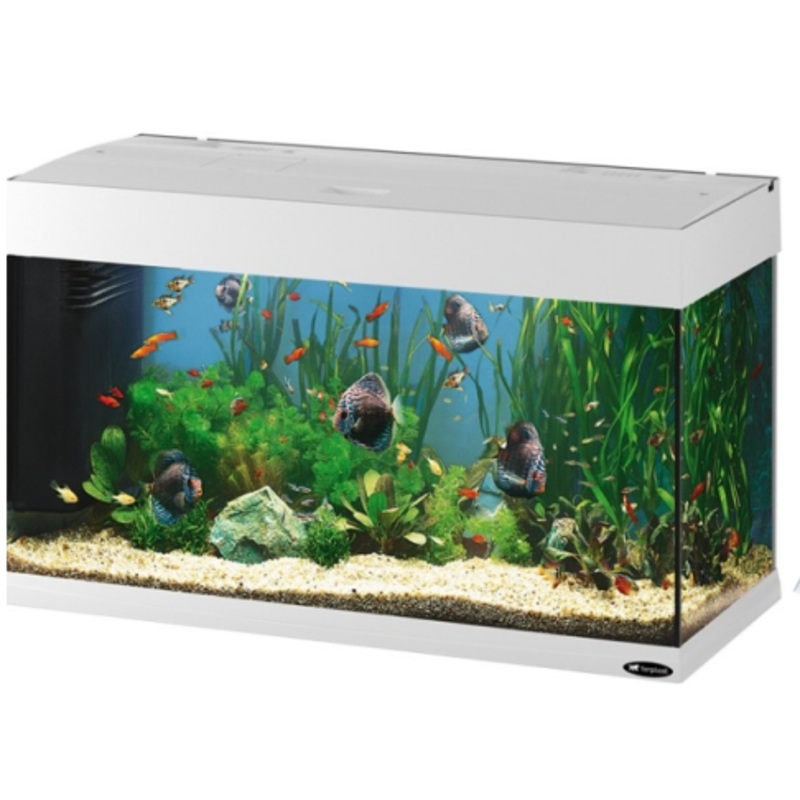 DUBAI 80 AQUARIUM WHITE LED