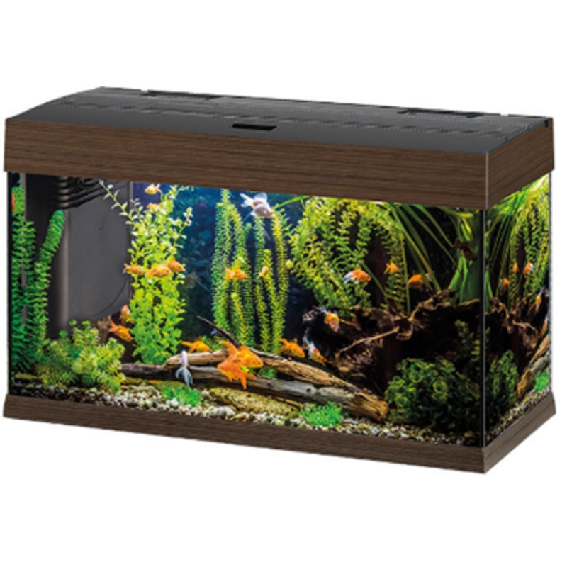 DUBAI 80 LED MAHOGANY AQUARIUM