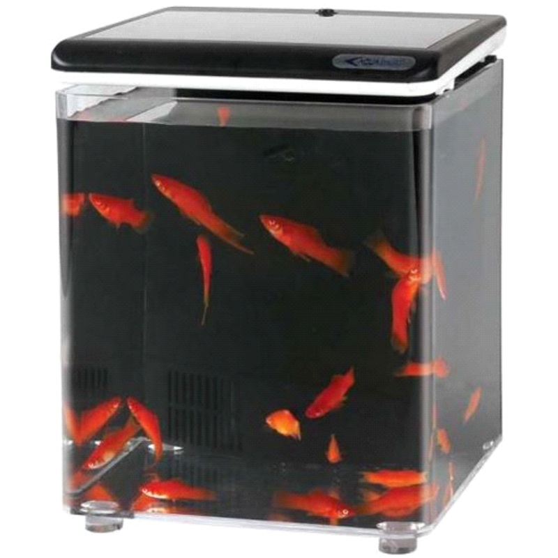 FISHOME AQUARIUM