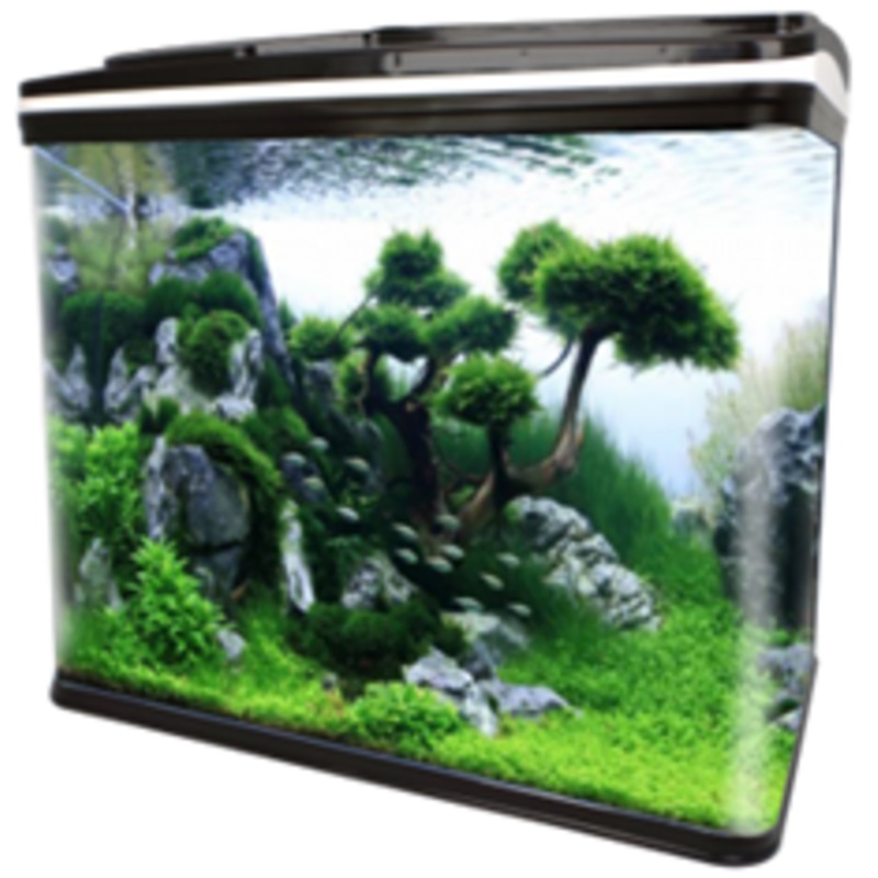GLASS AQUARIUM & CABINET