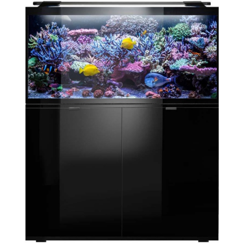 GLOSSY MARINE SET