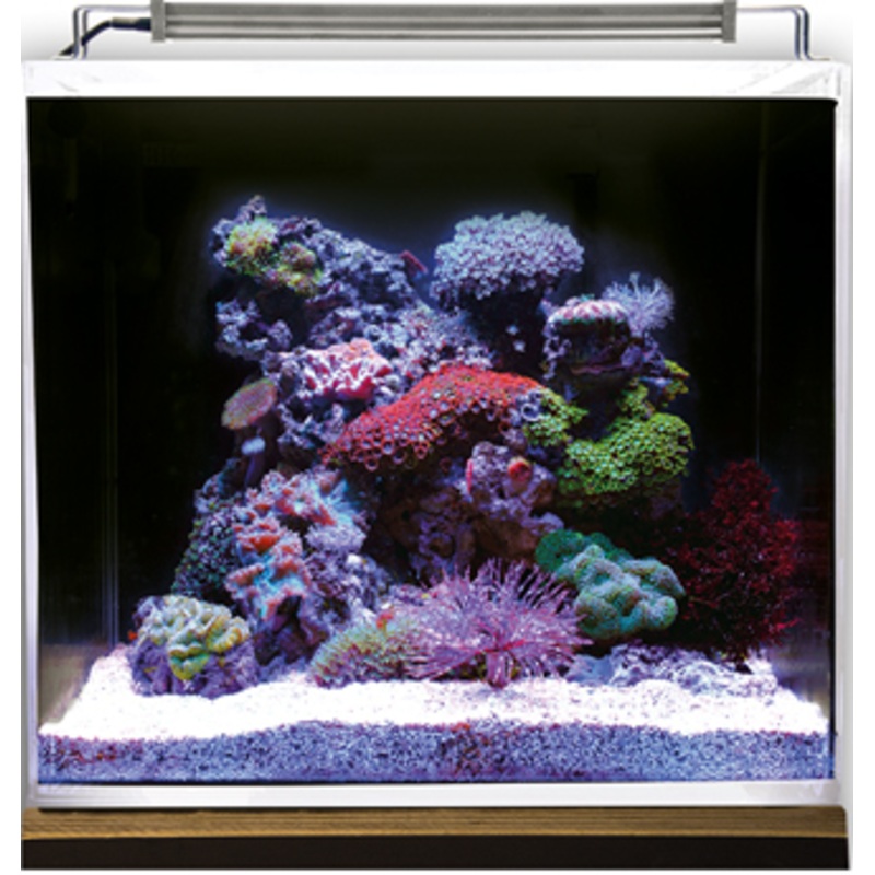 NANO OCEAN SET