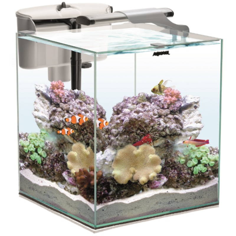 NANO REEF 35 WHITE DUO