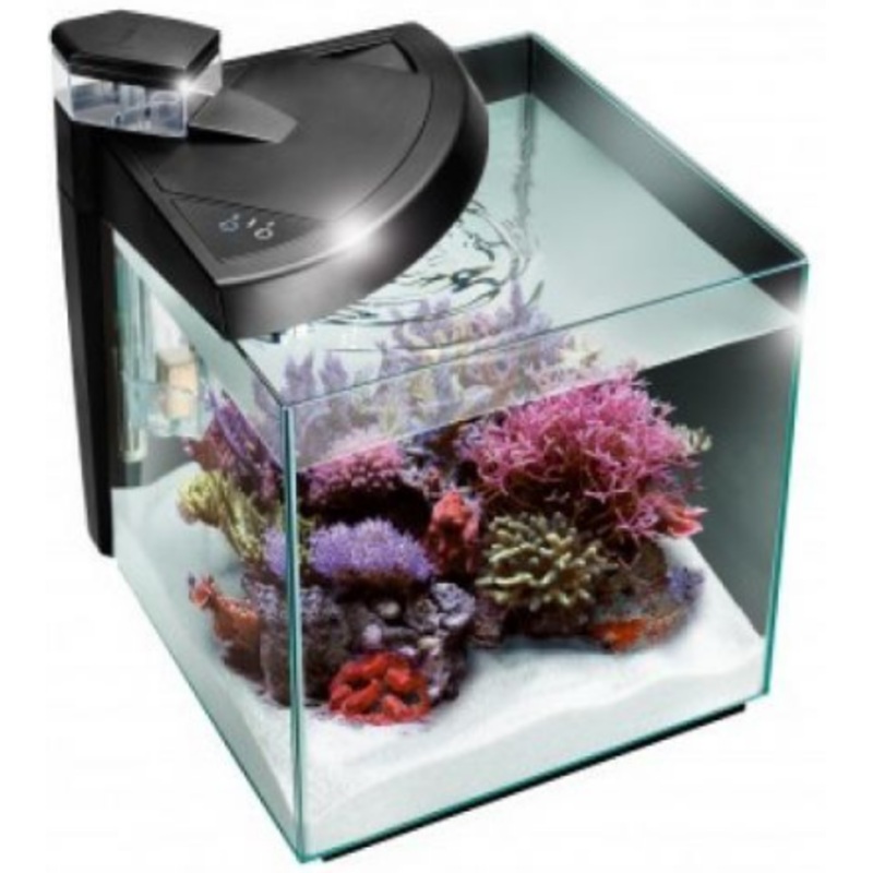 NEWA AQUARIUM