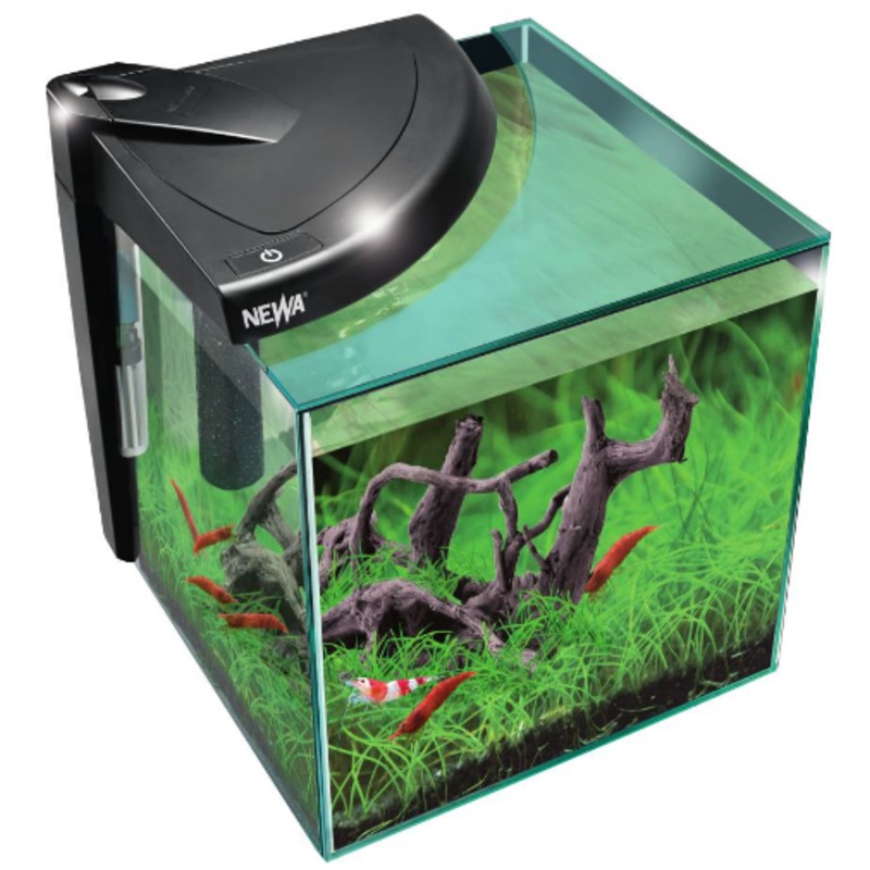 NEWA FRESHWATER AQUARIUM