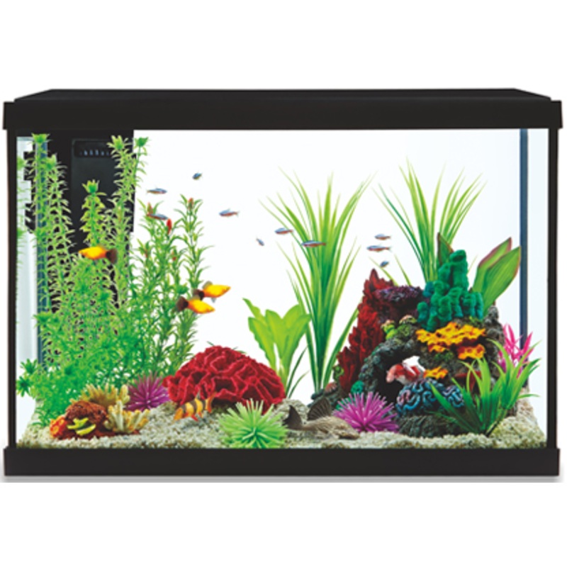 STARTER KIT AQUARIUM