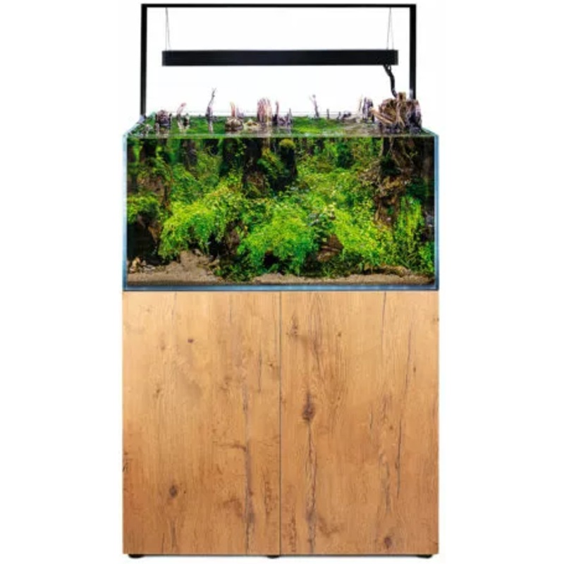ULTRASCAPE FOREST AQUARIUM