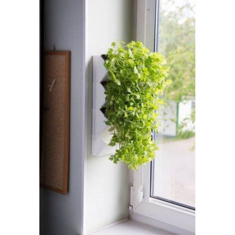 VERSA GARDEN HERBS