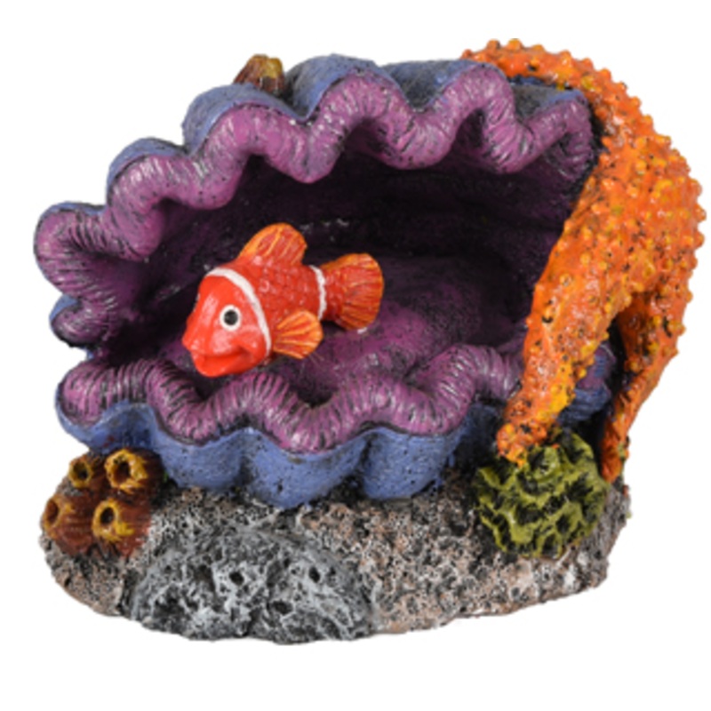 AD LETO SHELL+FISH