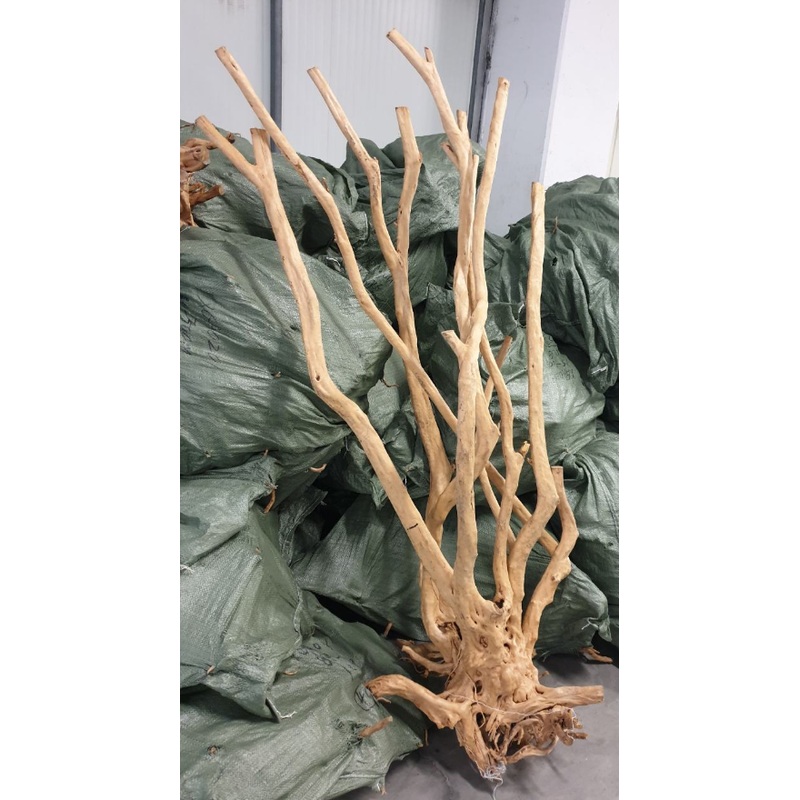 BRANCHES GIANT 120-150cm