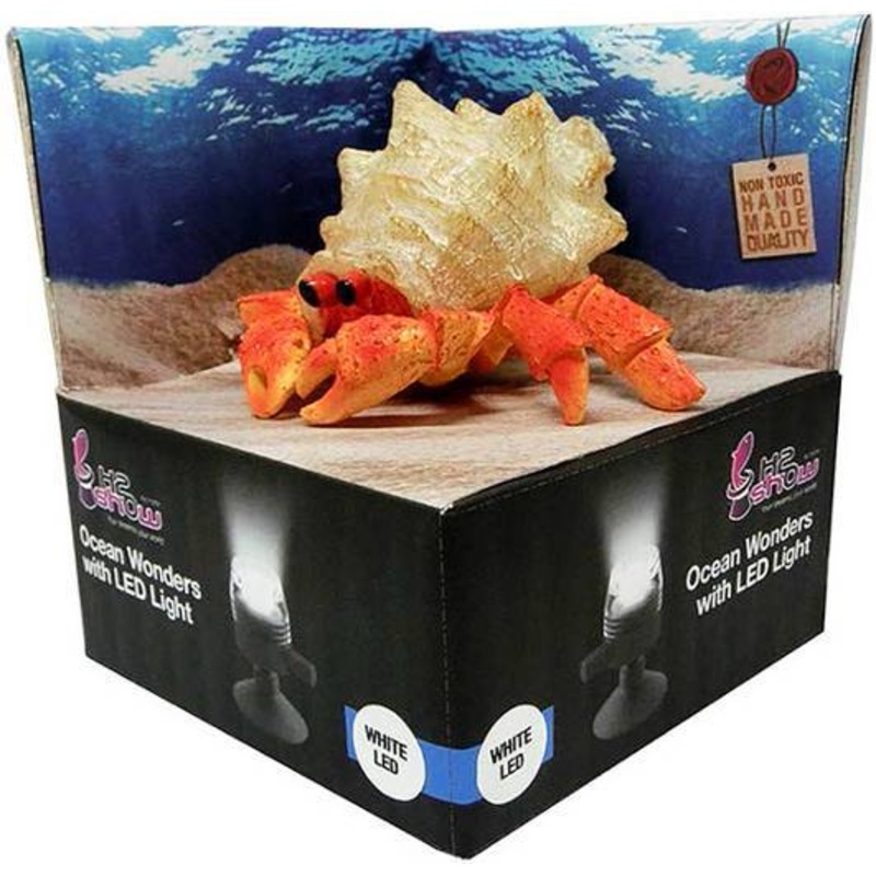 H2SHOW HERMIT CRAB DCOR-WHITE LED 2w