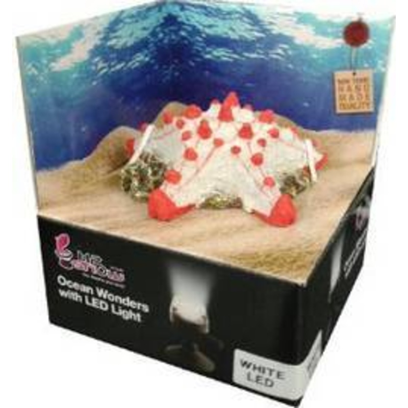 H2SHOW KIT STARFISH DCOR-WHITE LED 2w