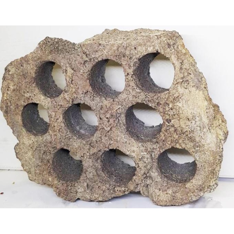 LAVA ROCK W/WHOLES 30-40cm