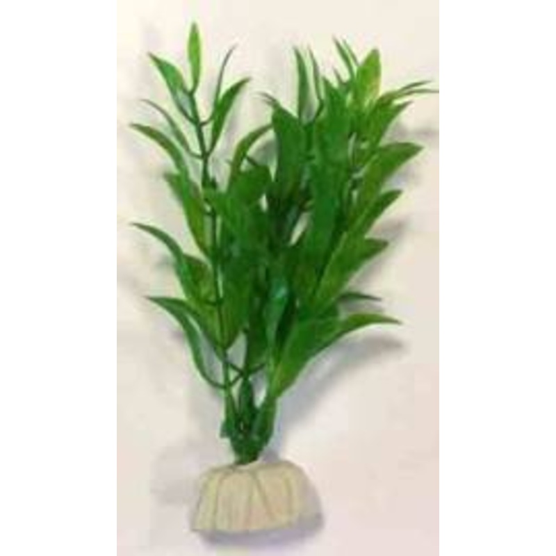 PLASTIC PLANT AP 001