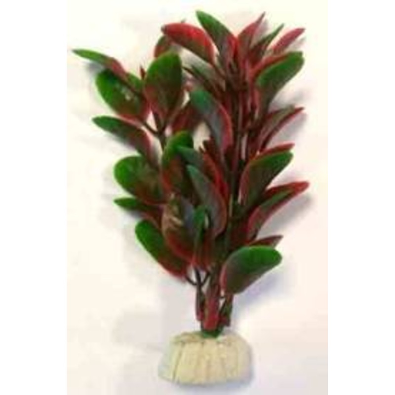 PLASTIC PLANT AP 022