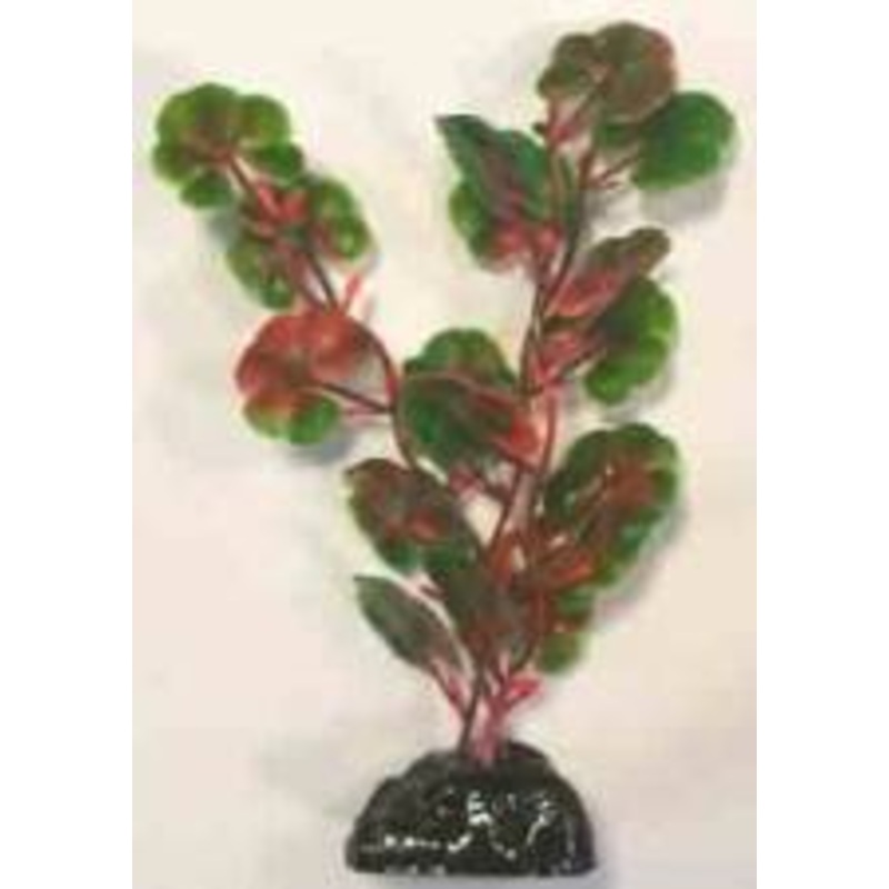 PLASTIC PLANT AP 051A