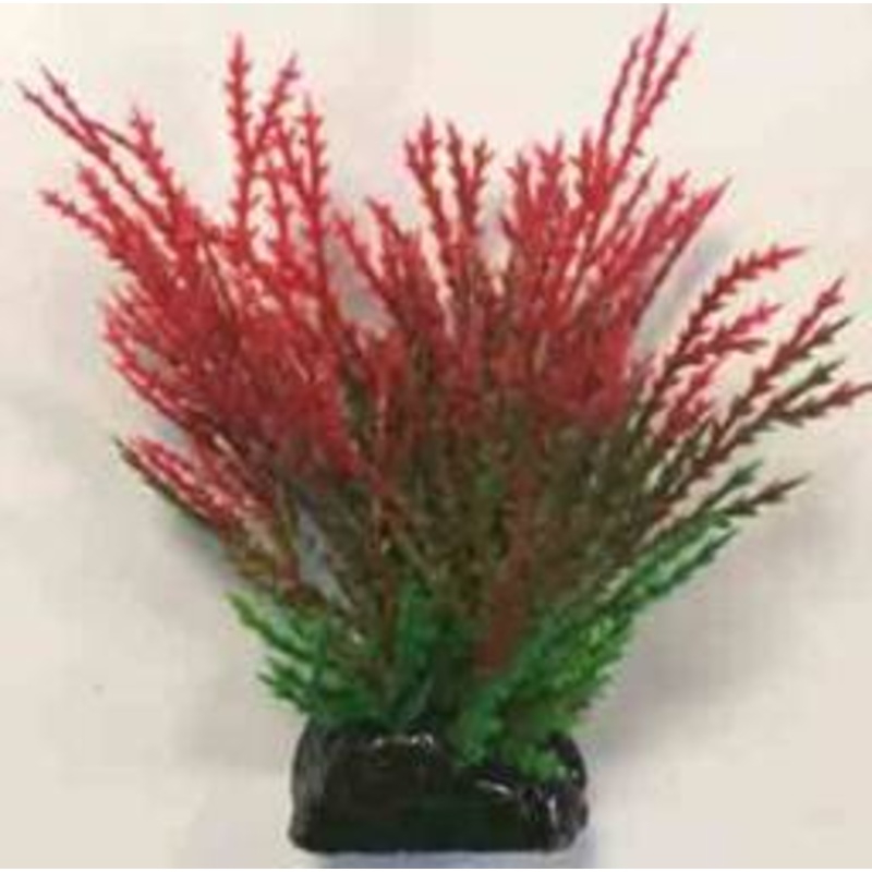 PLASTIC PLANT AP 056