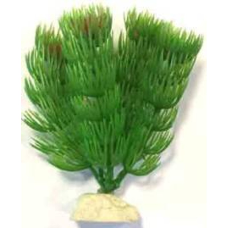 PLASTIC PLANT AP005