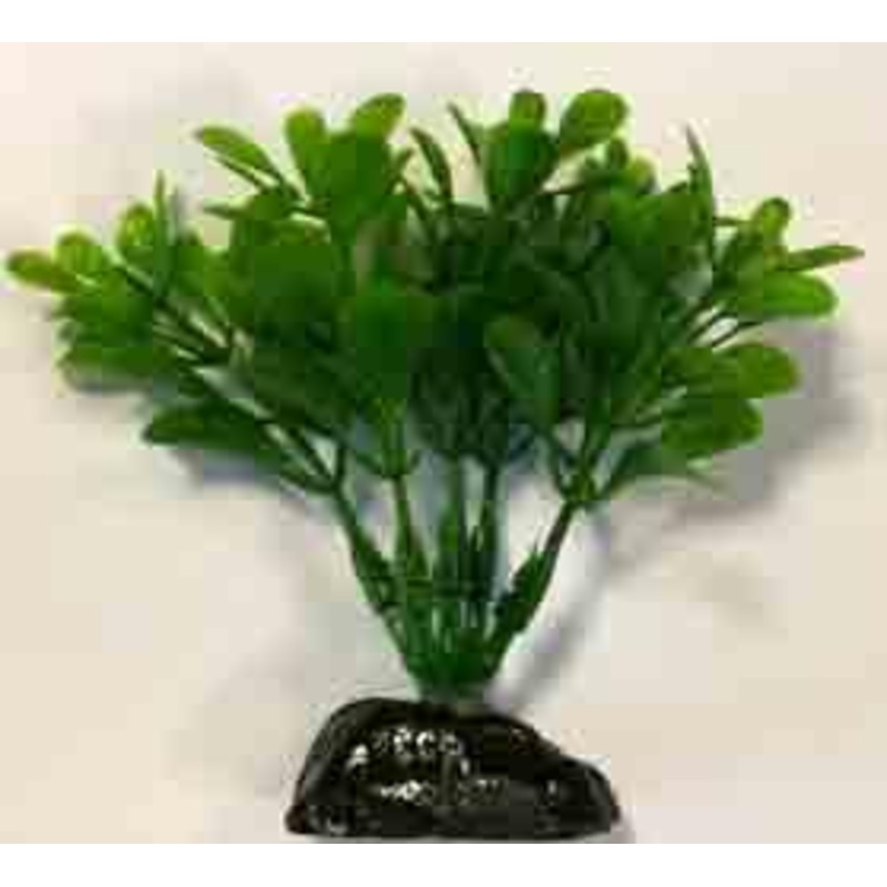 PLASTIC PLANT AP043C