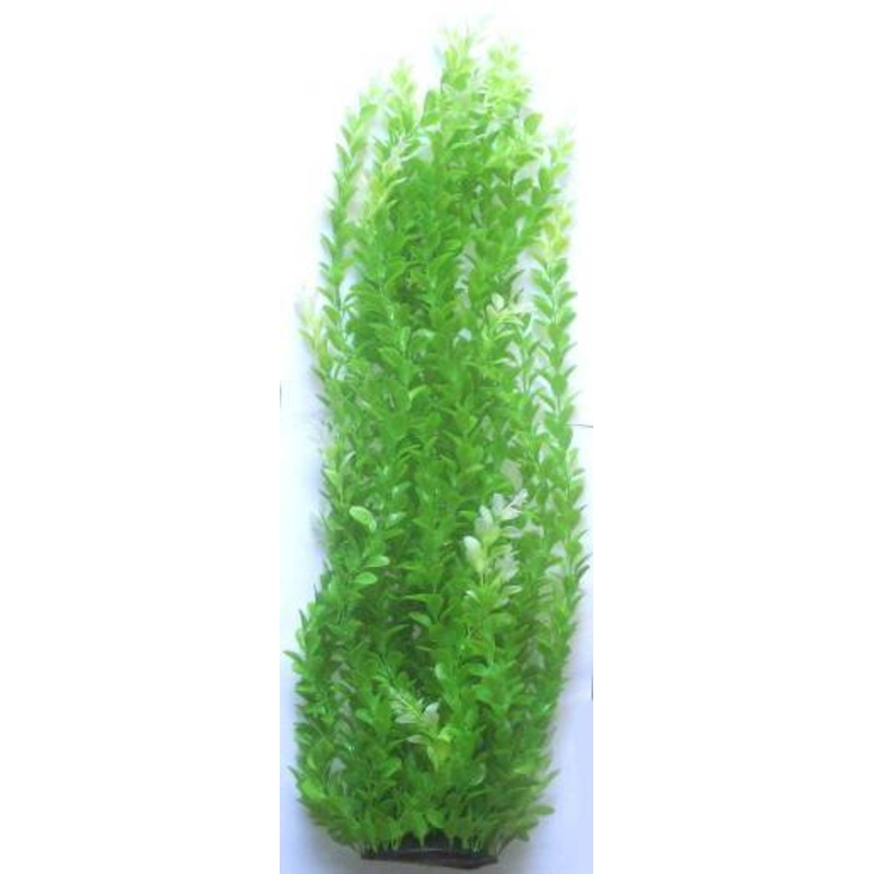 PLASTIC PLANT DARK GREEN 65cm