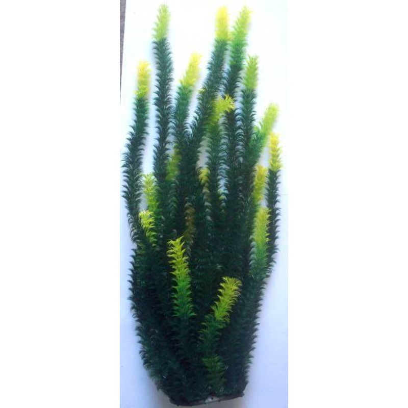 PLASTIC PLANT DARK GREEN  80cm