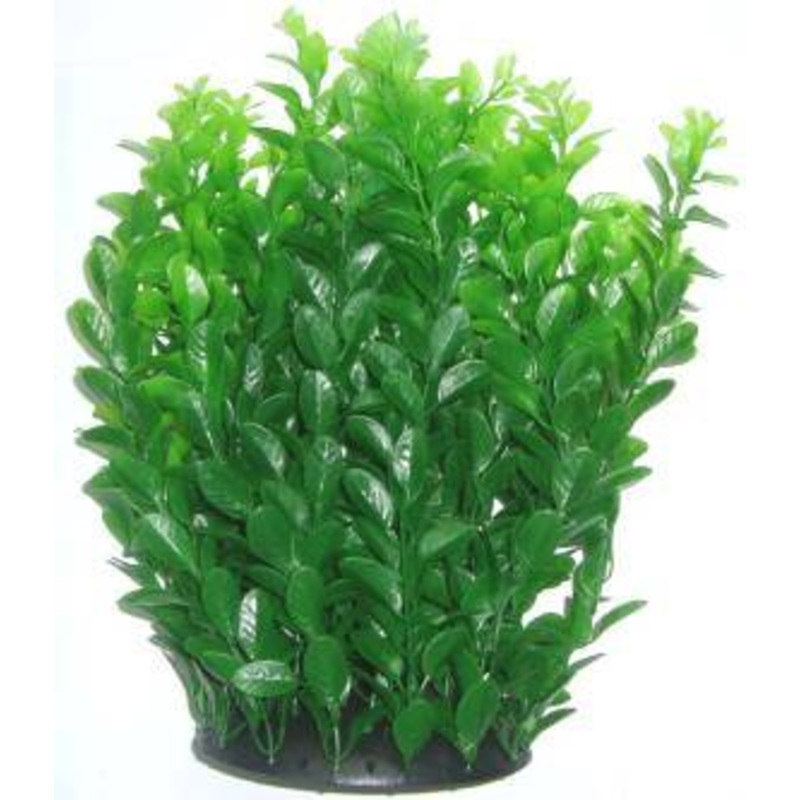 PLASTIC  PLANT  DARK GREEN LONG LEAF 30cm