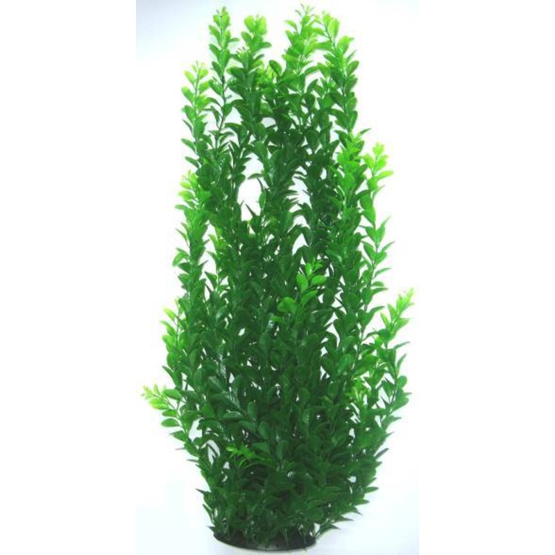 PLASTIC PLANT DARK GREEN LONG LEAF 80cm