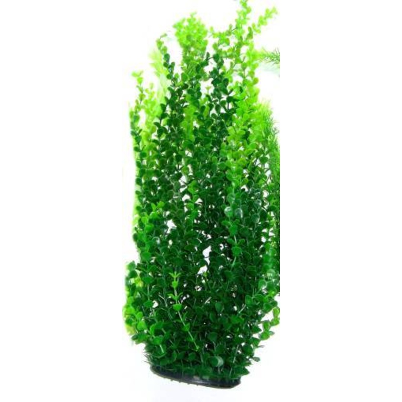 PLASTIC PLANT DARK GREEN ROUND LEAF 65cm
