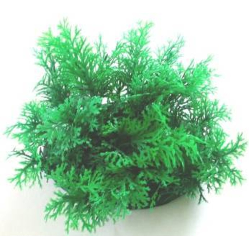 PLASTIC PLANT GREEN BRUSH LEAF 9cm
