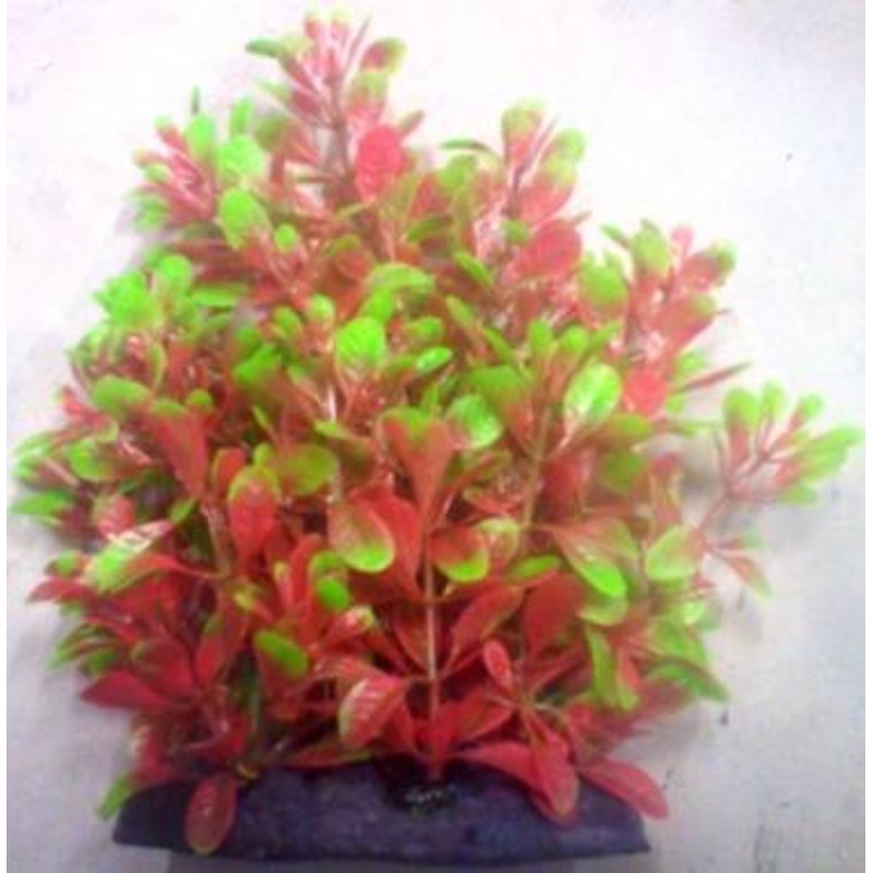 PLASTIC PLANT GREEN & RED ROUND LEAF