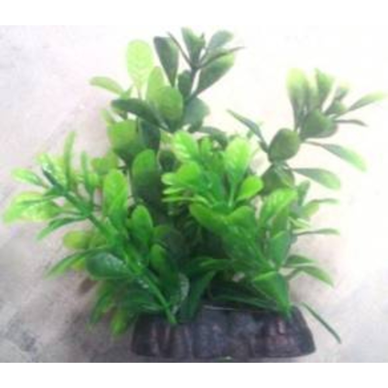 PLASTIC PLANT GREEN ROUND LEAF