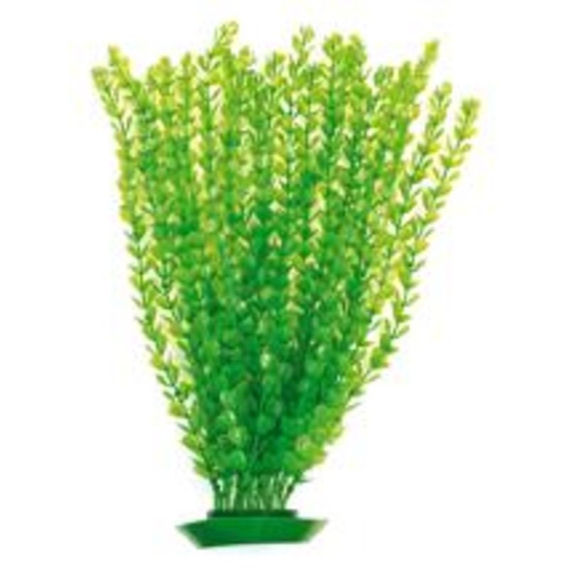 PLASTIC PLANT GREEN ROUND LEAF 60cm