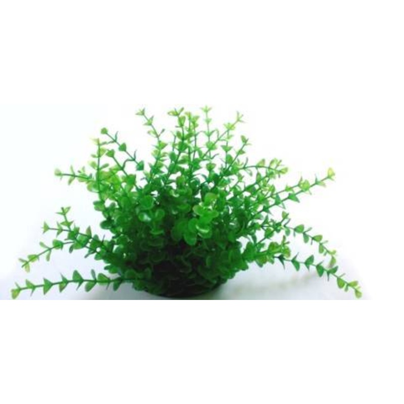 PLASTIC PLANT GREEN SMALL ROUND LEAFS 20cm