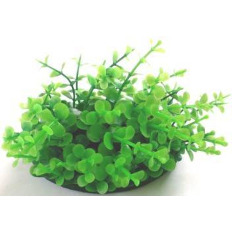 PLASTIC PLANT GREEN SMALL ROUND LEAFS 9cm