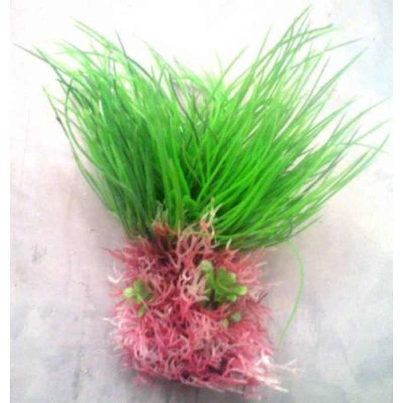 PLASTIC PLANT GREEN WITH RED ROOTS