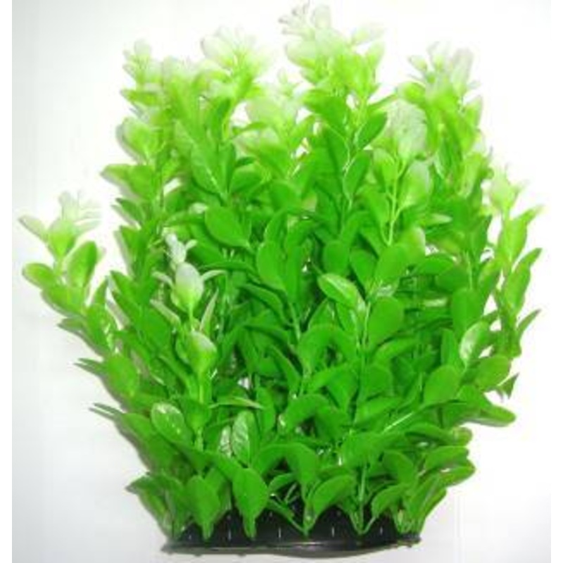 PLASTIC PLANT LIGHT GREEN  30cm