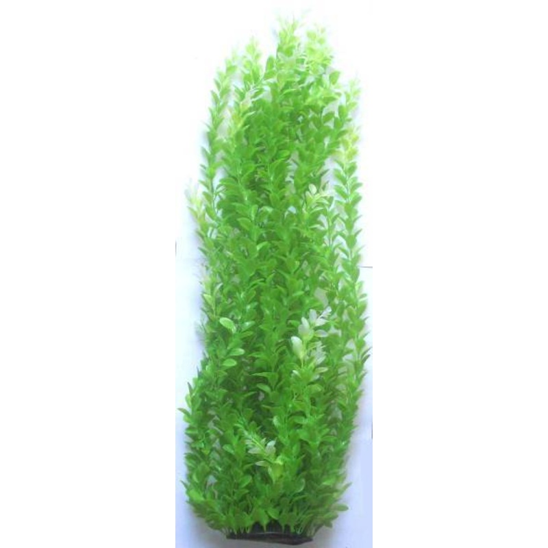 PLASTIC PLANT LIGHT GREEN 80cm