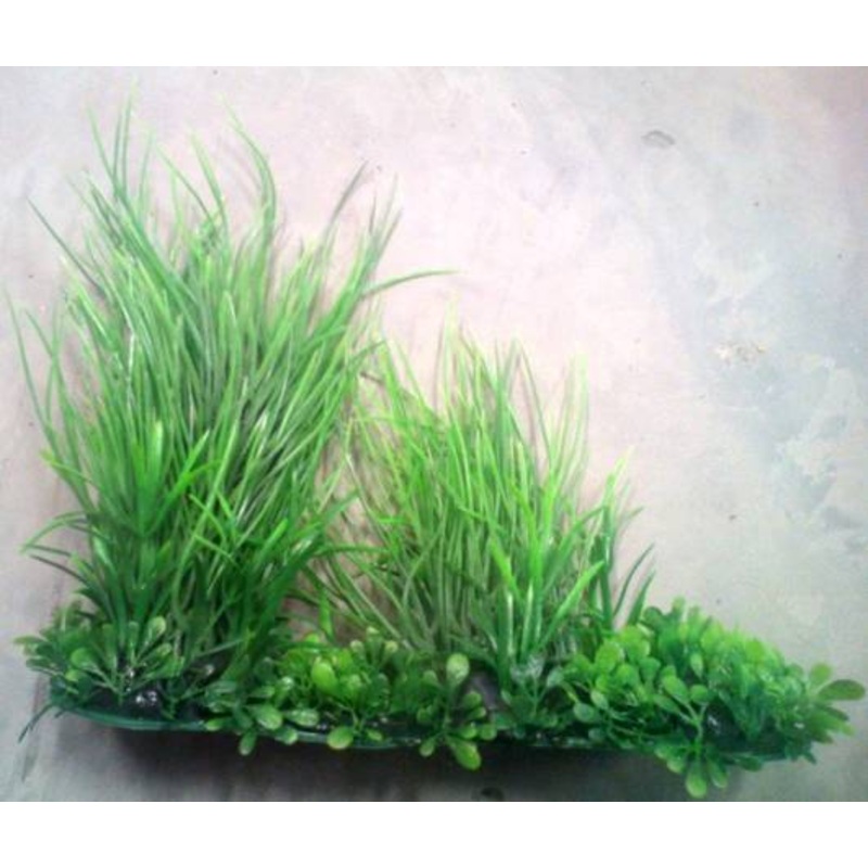 PLASTIC PLANT LONG  GREEN BRUSH