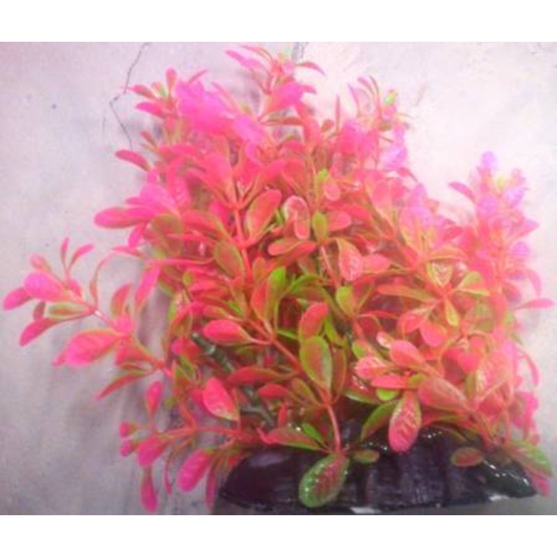 PLASTIC PLANT PINK &  GREEN ROUND LEAF