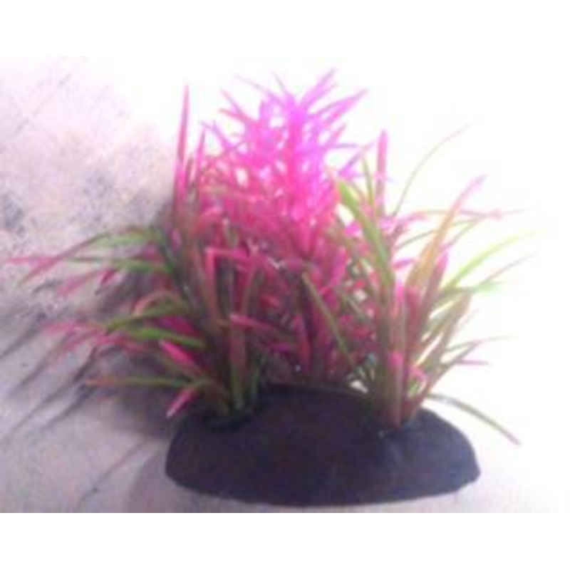 PLASTIC PLANT PINK & GREEN THIN LEAF