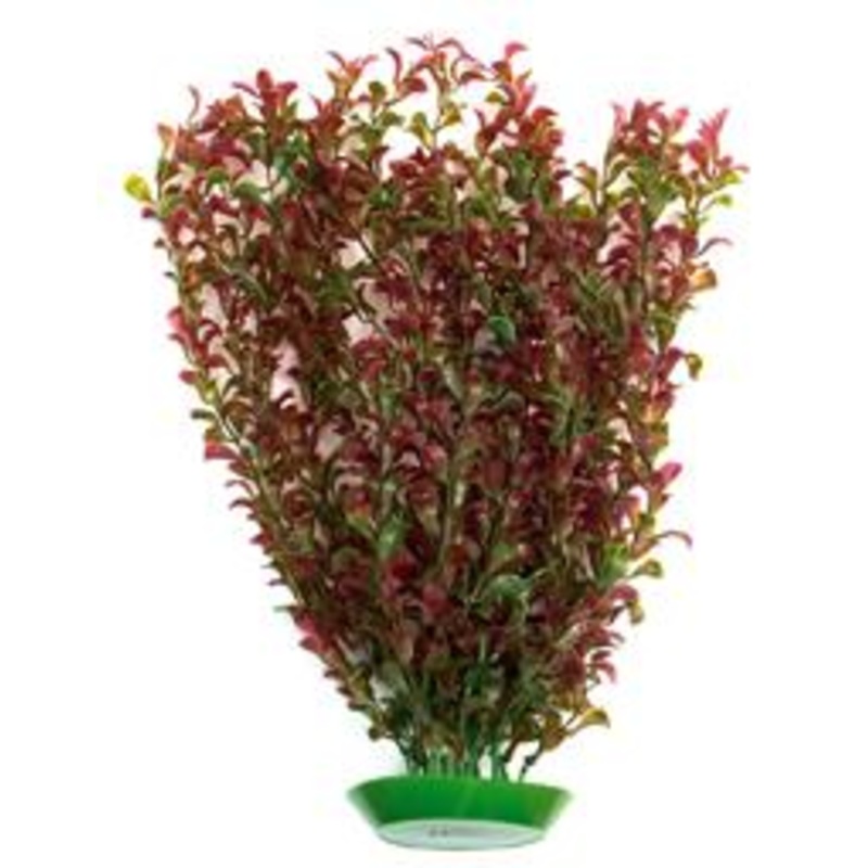 PLASTIC PLANT RED 60cm
