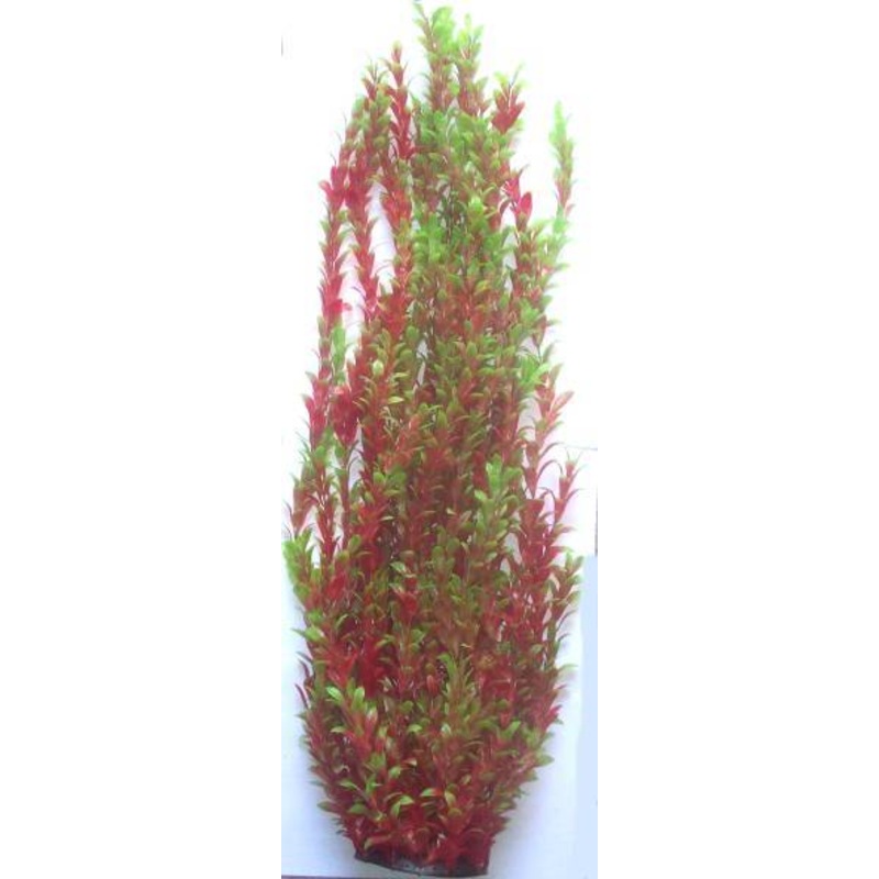 PLASTIC PLANT RED 80cm