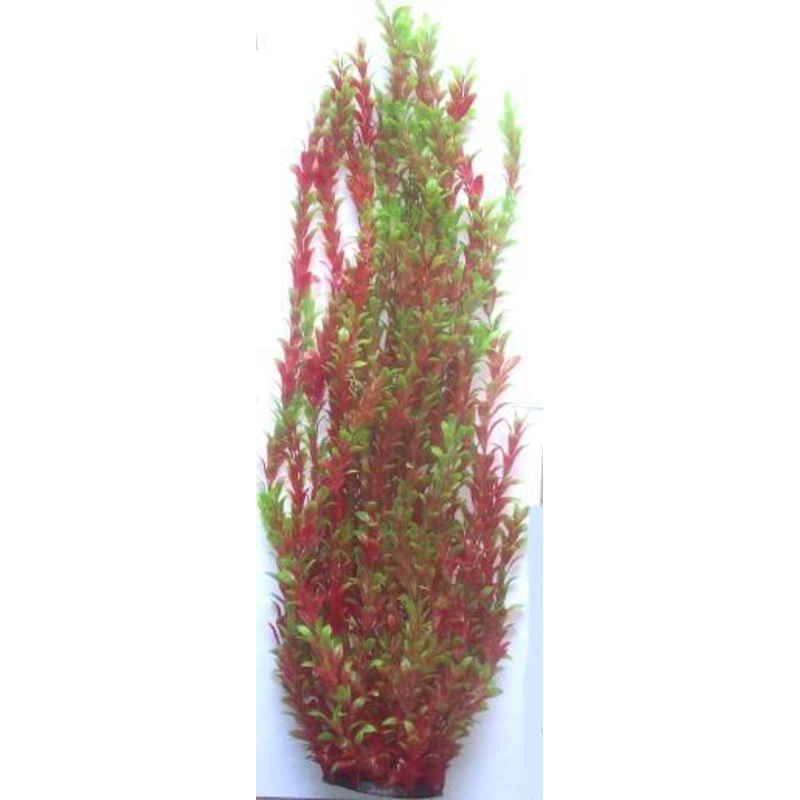 PLASTIC PLANT RED & GREEN 43cm