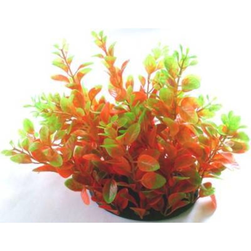 PLASTIC PLANT RED WITH GREEN ENDS 20cm