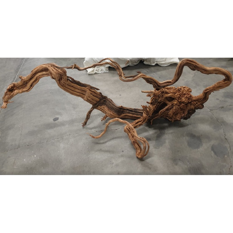 RIVER TREE ROOT per kg