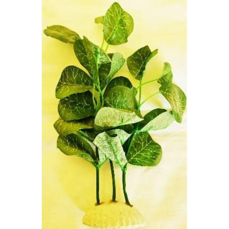 SILK PLANT GREEN BIG ROUND LEAF