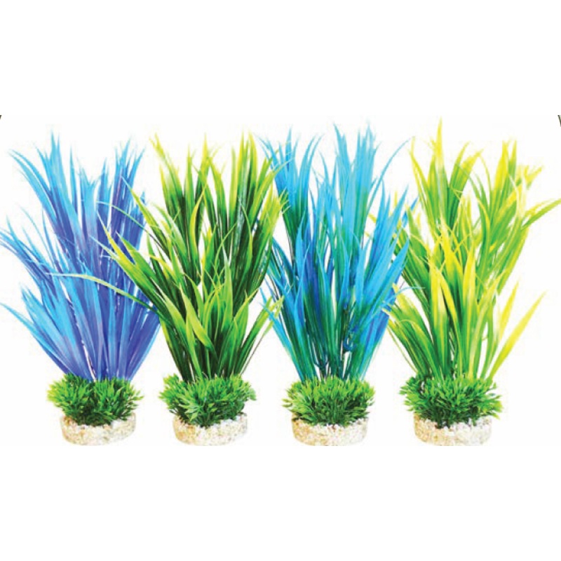 AMAZON GRASS