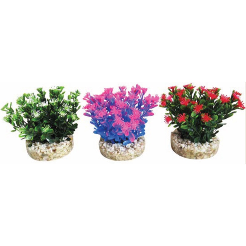 AQUA BOUQUET