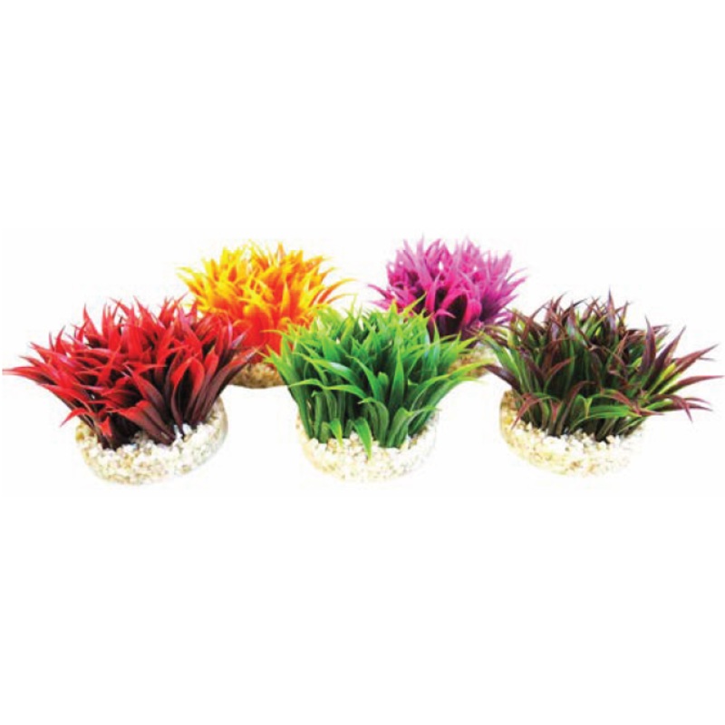 AQUA DELUXE PLANT