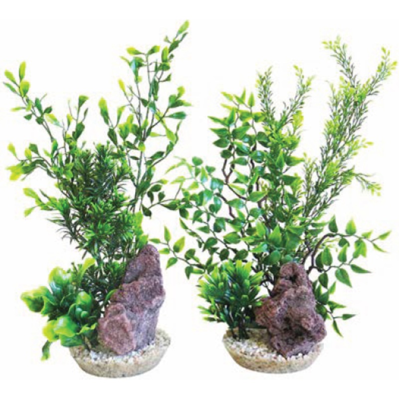AQUA ROYAL REEF